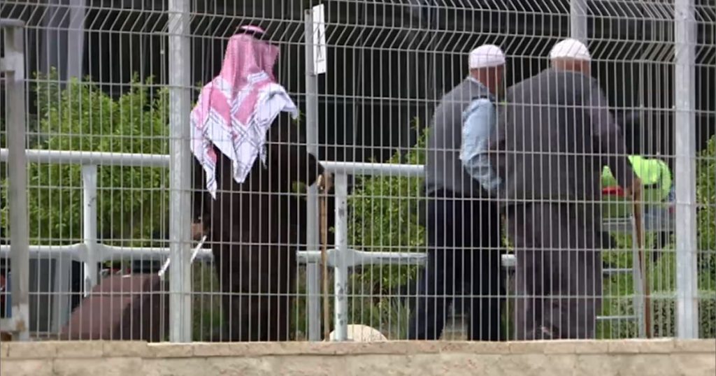 الغارديان: مسنون فلسطينيون نجوا بحياتهم عام 1948 يواجهون النكبة مجددا بغزة