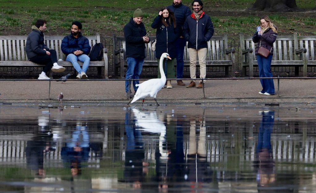 تلغراف: ريف بريطانيا أصبح مساحة “عنصرية استعمارية” للسكان البيض