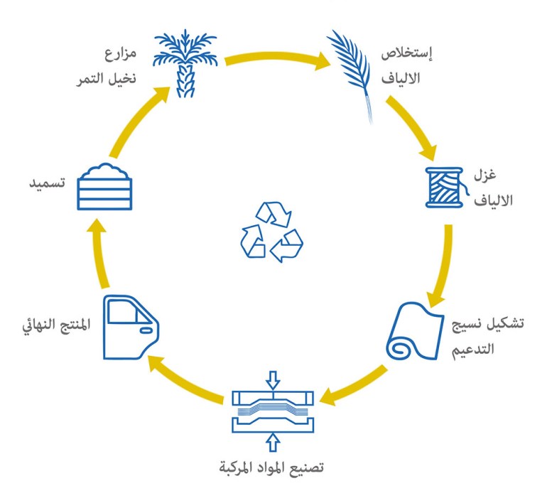 جراف يوضح الاقتصاد الدائري لألياف جريد النخيل (الجزيرة)