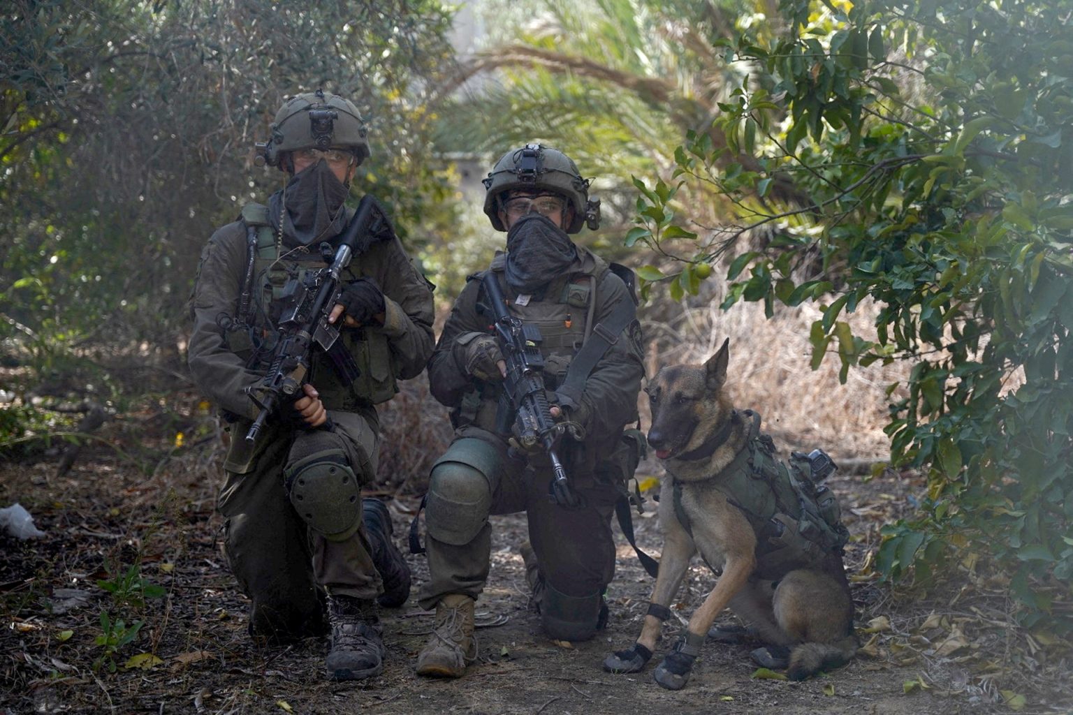 ميديا بارت: شبح جرائم حرب لفرنسيين في غزة يلوح بالأفق