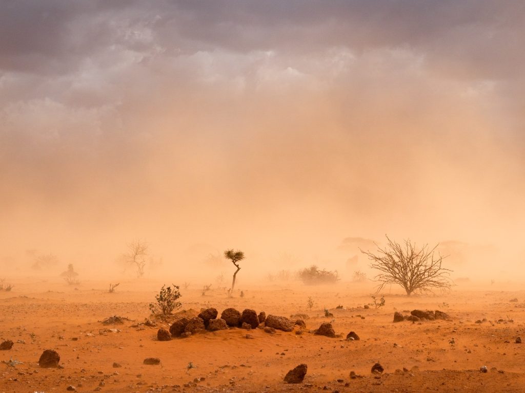 كيف سيحيا الشباب في هذا العالم؟!