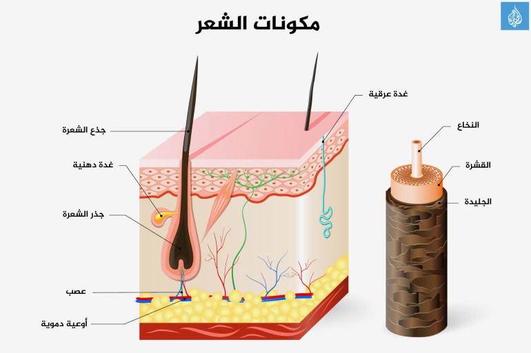 مكونات الشعر