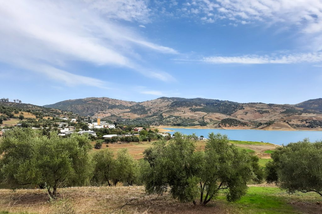 وزير: المغرب سيفقد 20% من المساحات المزروعة بسبب الجفاف