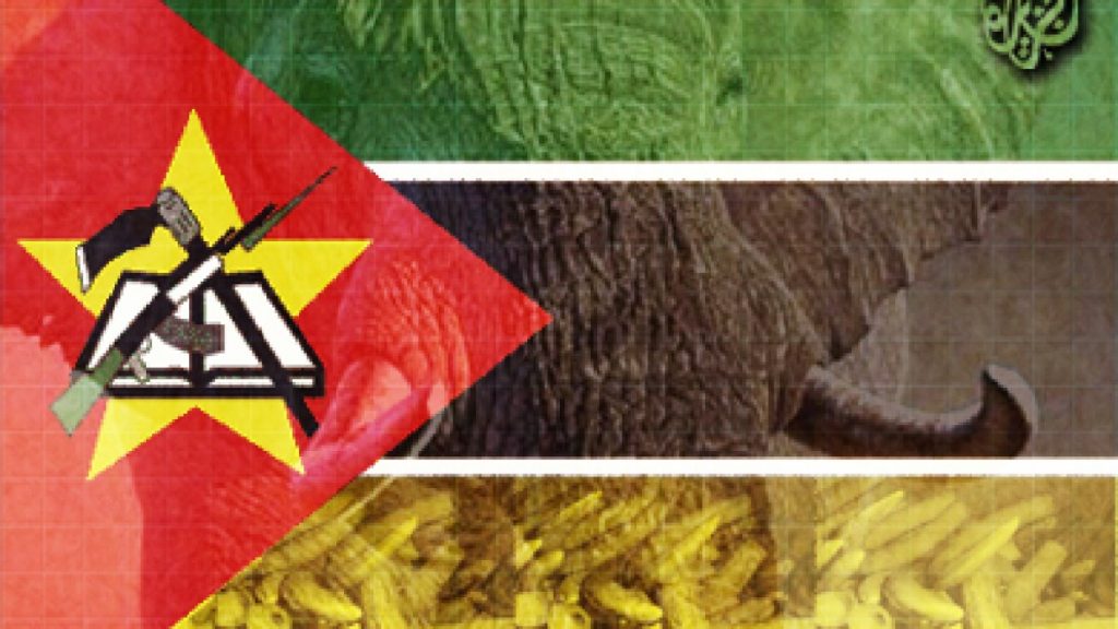 ماذا تعرف عن موارد الطاقة الهائلة في موزمبيق؟