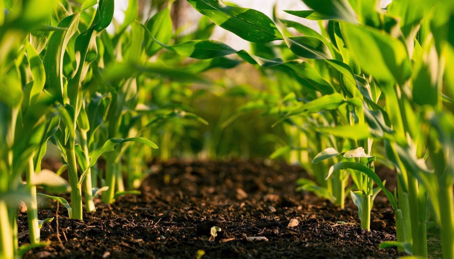 صندوق بيزوس يحجم عن استثمار 30 مليون دولار في إسرائيل بسبب حرب غزة