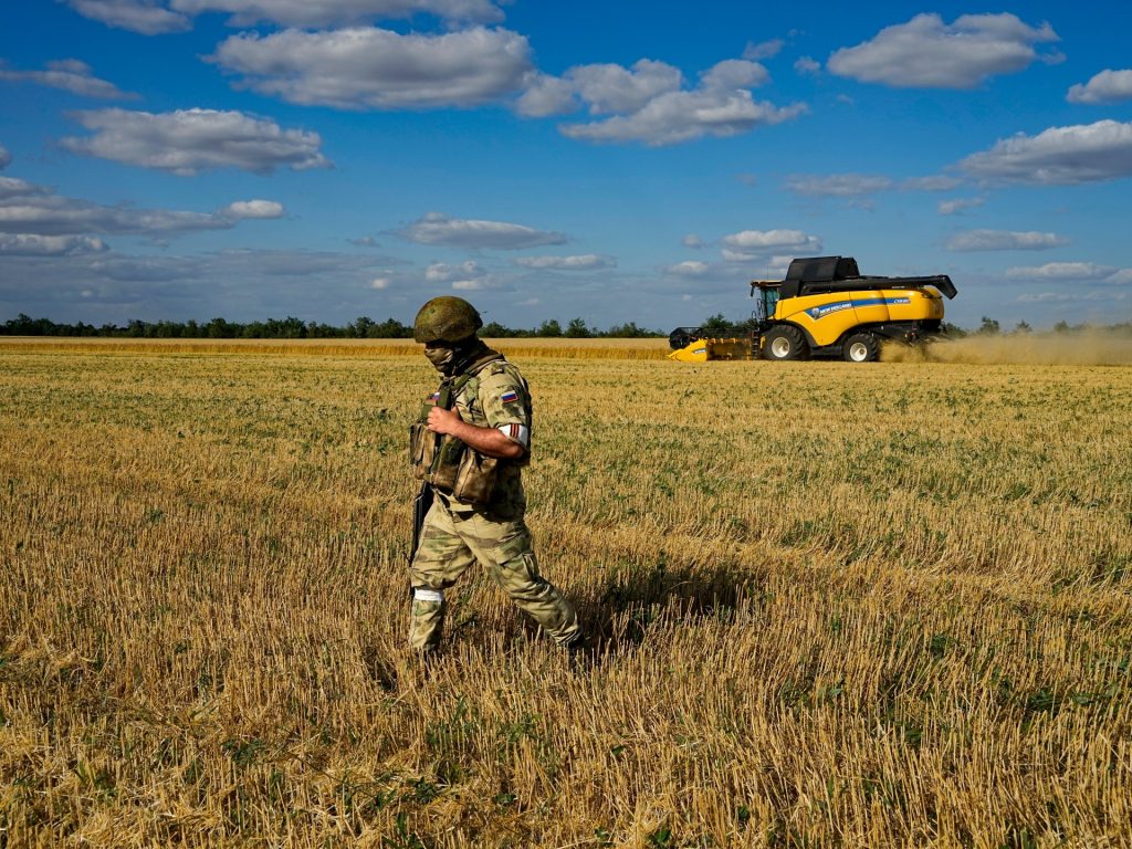 إمدادات القمح العالمية مهددة.. وارتفاع متوقع للأسعار