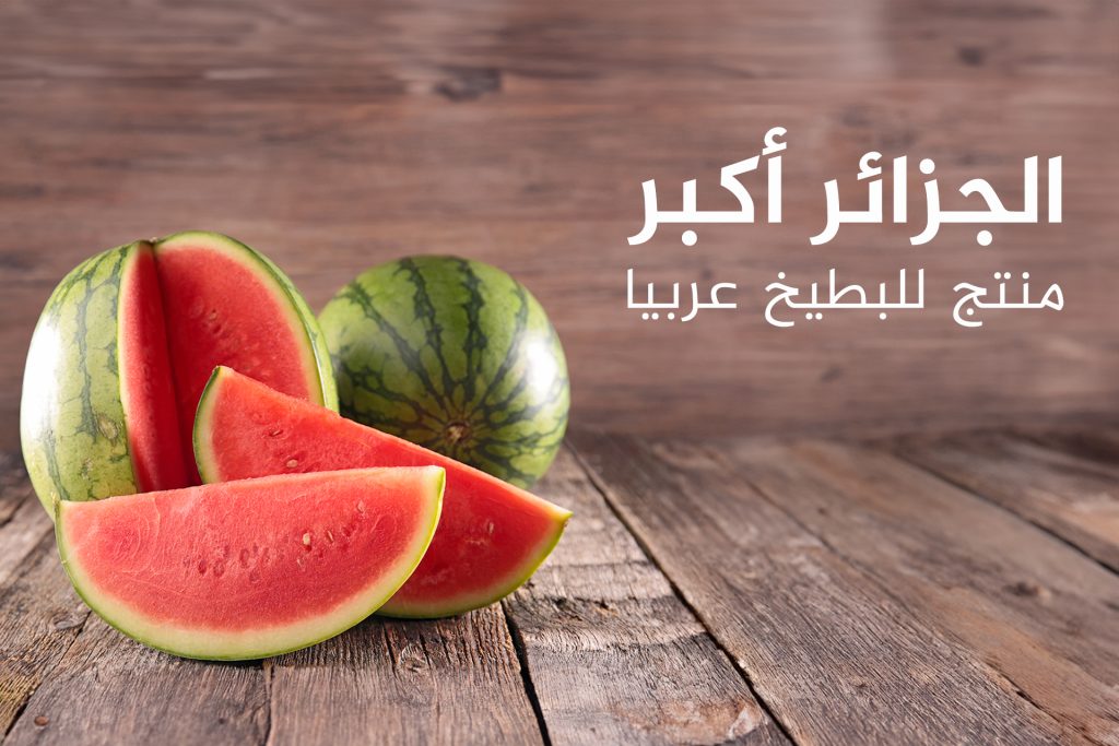 مرطب ورمز وطني.. أكثر الدول إنتاجا وتصديرا للبطيخ بالعالم