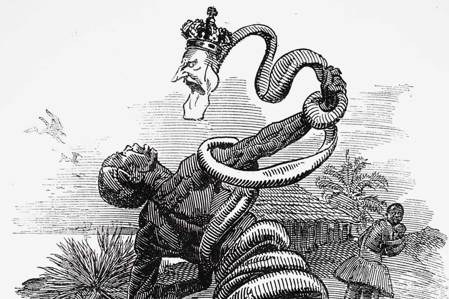 ليوبولد الثاني بالكونغو.. ما لم تعترف به بلجيكا عن فظائع ماضيها