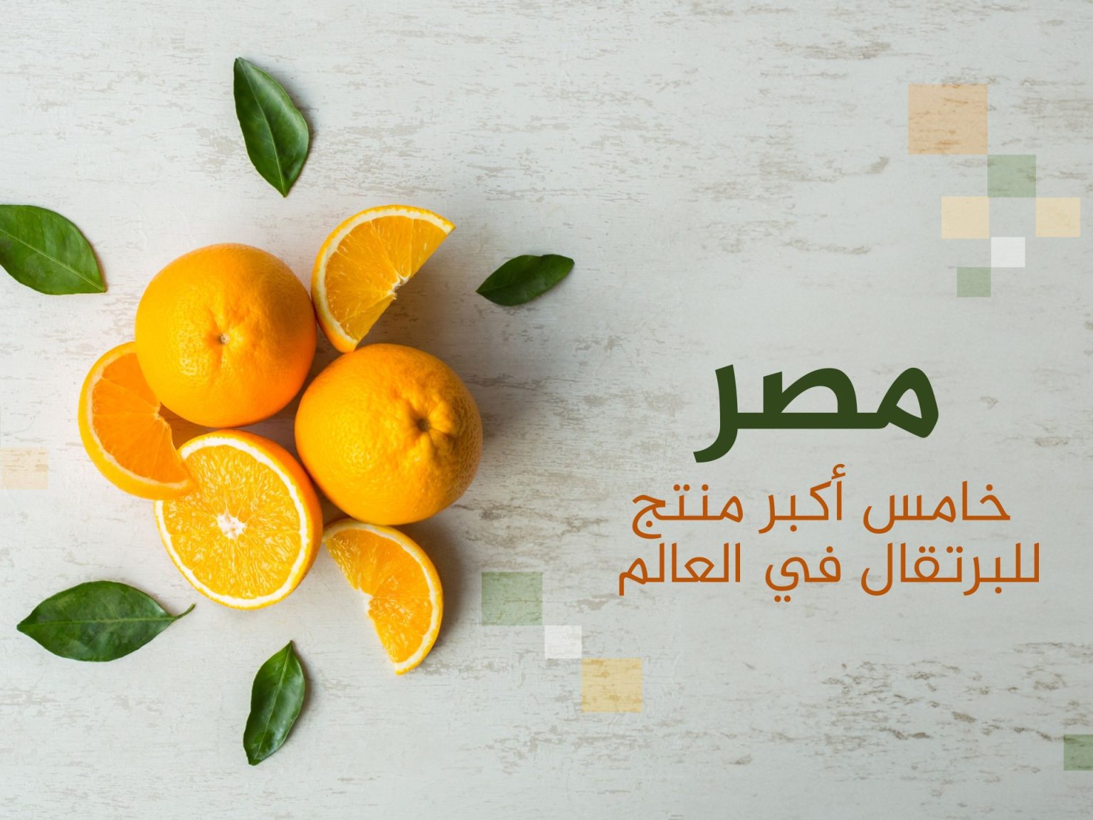 بينها مصر والسعودية.. أكبر 10 دول منتجة ومستوردة للبرتقال في العالم