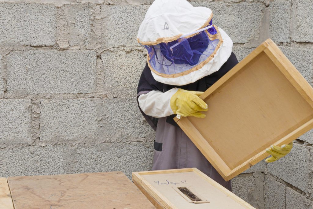 عسل أماني وحِرَف بجاش.. مشروعات يمنية ناجحة بدعم من “صلتك” القطرية