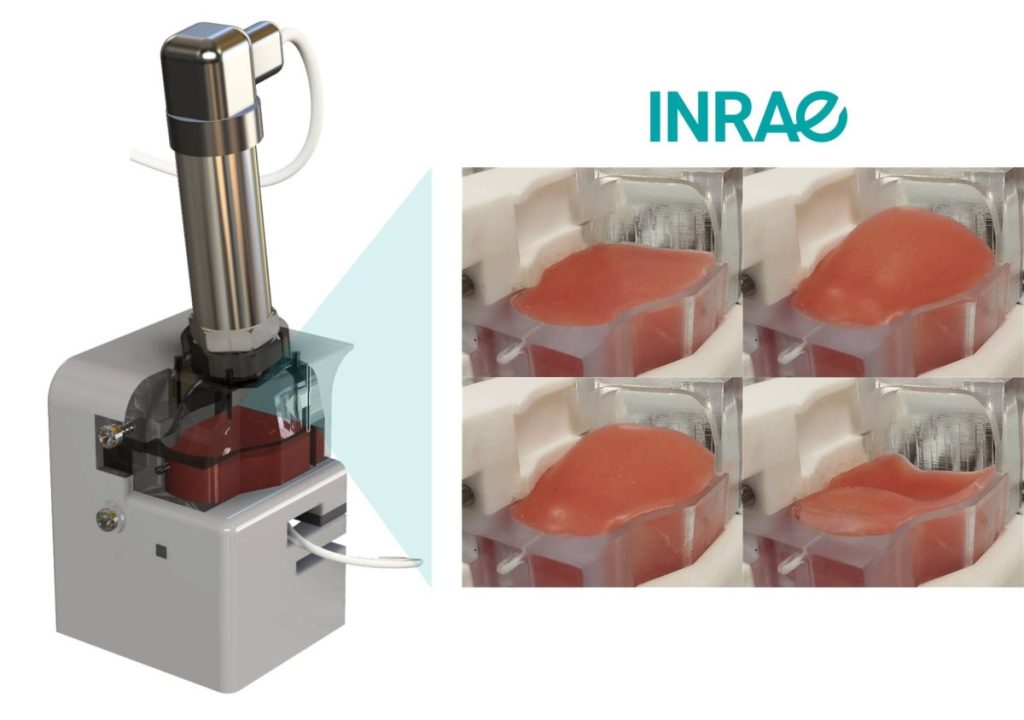 فم اصطناعي لتغذية كبار السن