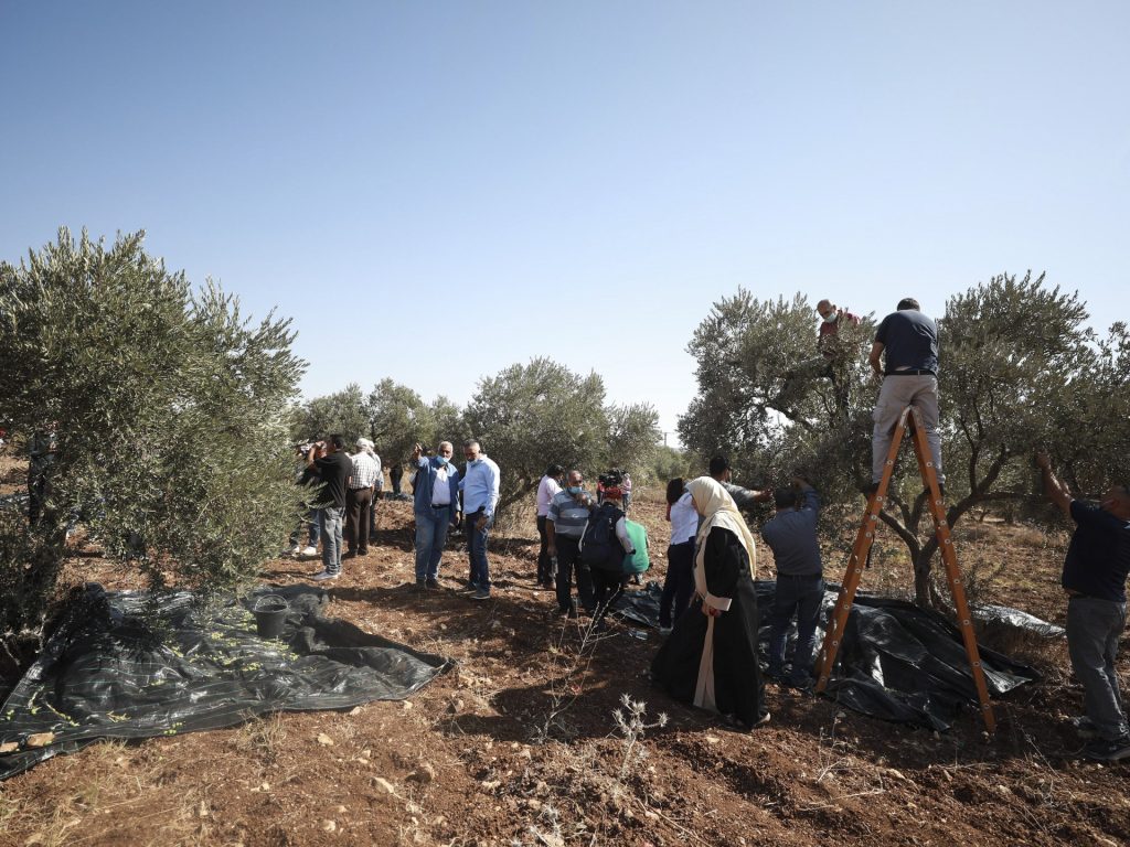 إصابة فلسطينيين ومتضامنة أجنبية باعتداء مستوطنين عليهم في الضفة