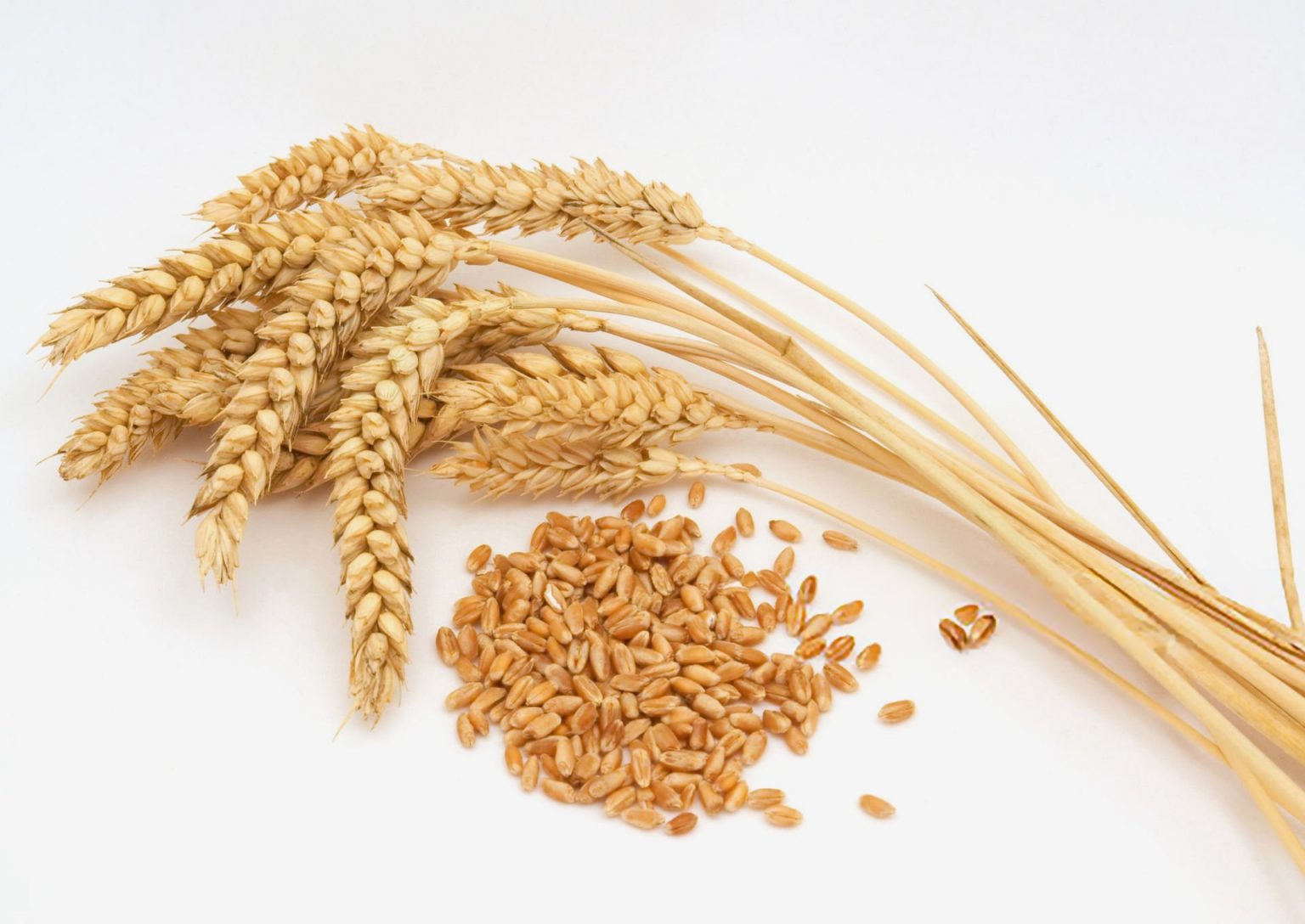 الجزائر تستبعد فرنسا من مناقصة لاستيراد القمح مع توتر العلاقات