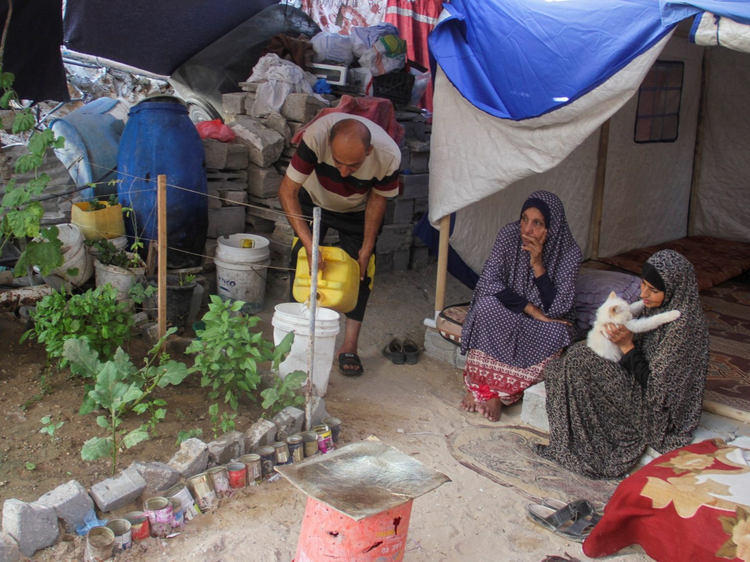 مفاضلة الموت.. كيف يختار سكان شمال غزة مصيرهم؟