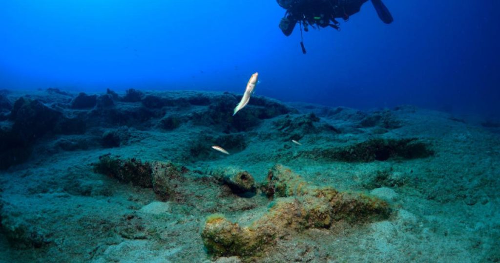 اكتشافات جديدة.. عالم غني بالحياة تحت القشرة الأرضية في قاع المحيطات