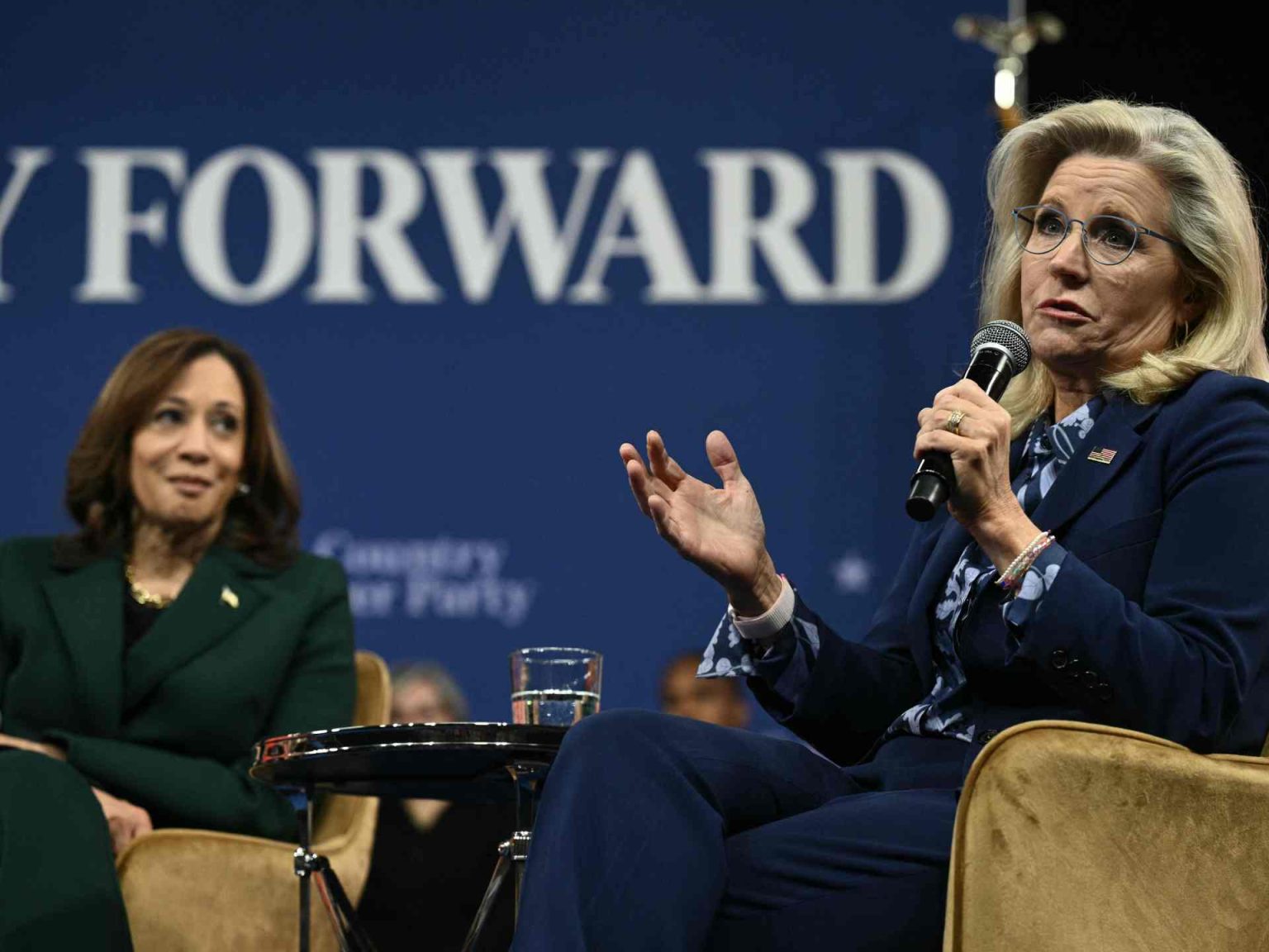 ليز تشيني.. هل تساعد هاريس أم تضرها؟