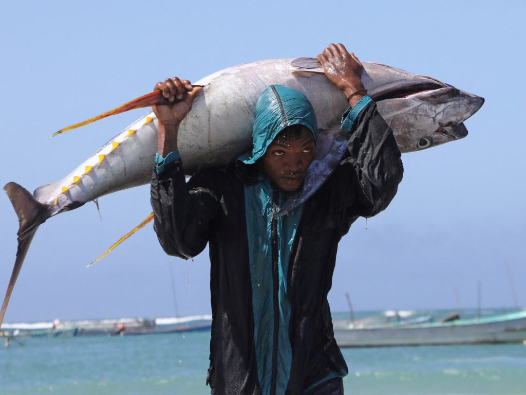 هكذا تستغل أوروبا ثروات أفريقيا السمكية