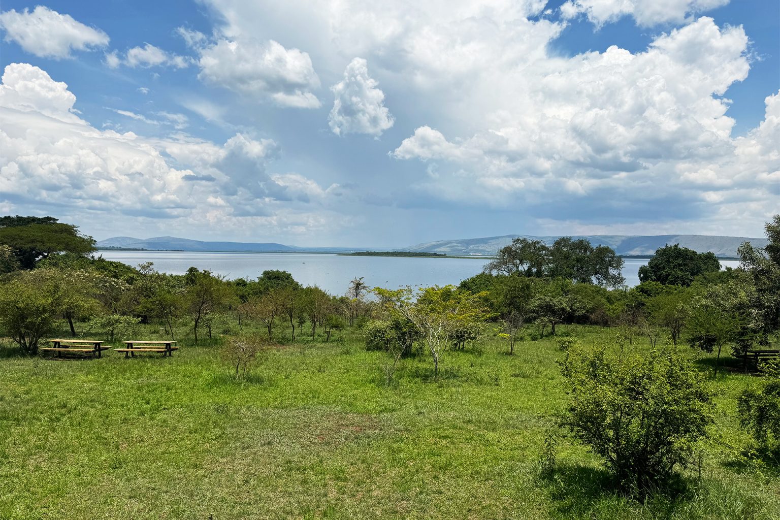 محمية أكاجيرا في رواندا تجربة فريدة لعشاق السفاري