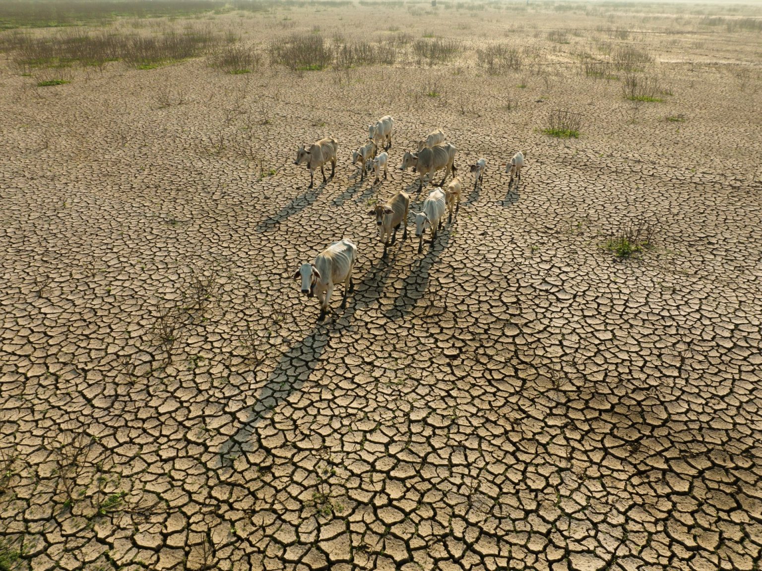 أمنستي تناشد الدول الأكثر ثراء نجدة الدول المنكوبة مناخيا بأفريقيا