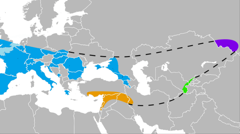 انتشر النياندرتال في شريط جغرافي طويل يمتد من جنوب أوروبا حتى وسط آسيا (ويكيبيديا)