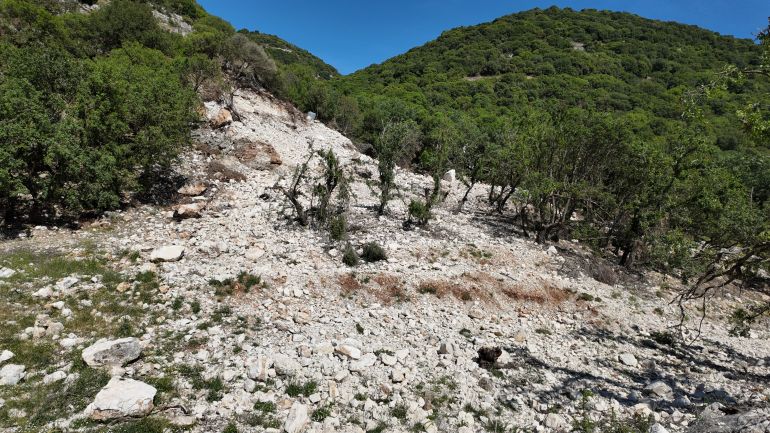 الاعتداءات الإسرائيلية فتكت بالجبال ودمّرت الغطاء الأخضر في وادي الحجير (الجزيرة) 2