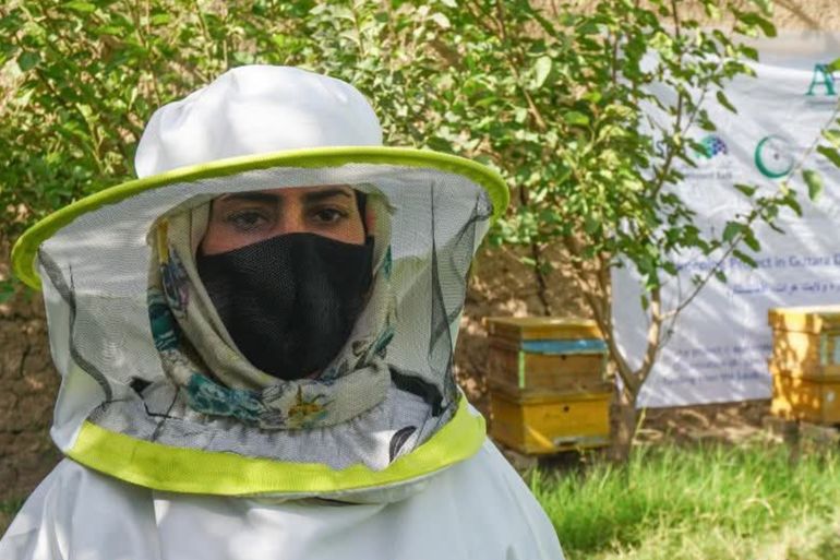 فاطمة علي زاده، نحالة من مديرية أنجيل بولاية هرات، تدير 20 خلية نحل بعد تلقيها دورة تدريبية حكومية، مساهمة في تطوير صناعة العسل المحلية