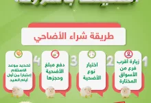 1 181 - عروض الأضاحي من أسواق المزرعة 2025 – أضحيتك بالمزرعة بكل سهولة ضمن جميع الفروع