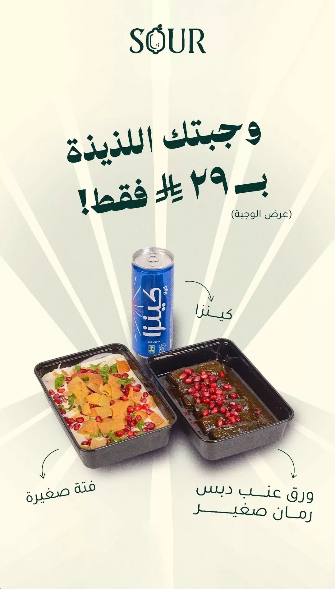 عرض ورق عنب ساور: وجبة شهية بـ 29 ريال فقط في الدمام والرياض والأحساء 1 3 76 - عرض ورق عنب ساور: وجبة شهية بـ 29 ريال فقط في الدمام والرياض والأحساء