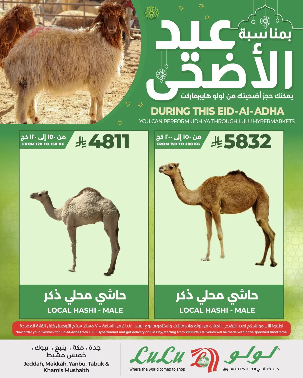 تصفح عروض اضاحى العيد فى السعودية 6 493900261 1146370080862602 7360623452416111353 n 1229x1536 1 - تصفح عروض اضاحى العيد فى السعودية