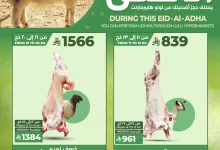 494582605 1154076350091975 1415764653931342480 n - عروض لولو هايبر ماركت لتوفير الأضاحي بمناسبة عيد الأضحى 2025 في جدة و تبوك