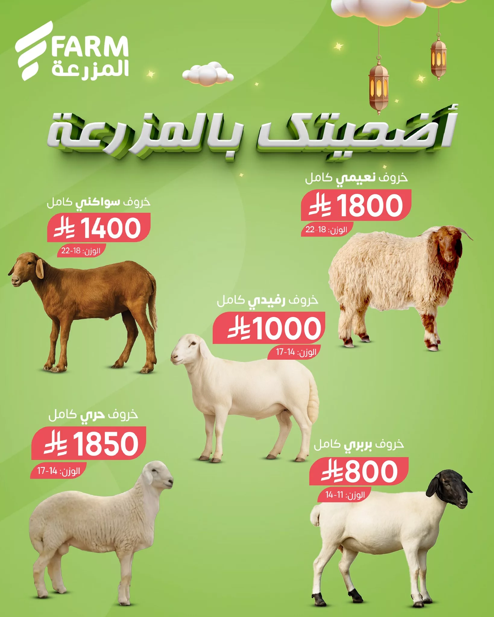 497944153 1046668330934836 7864288775849692651 n - عروض اسواق المزرعة علي أضاحي العيد - متوفر في جميع الفروع أحجز الآن