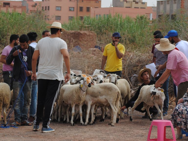 المغرب - أجواء خاصة في عيد الأضحى
