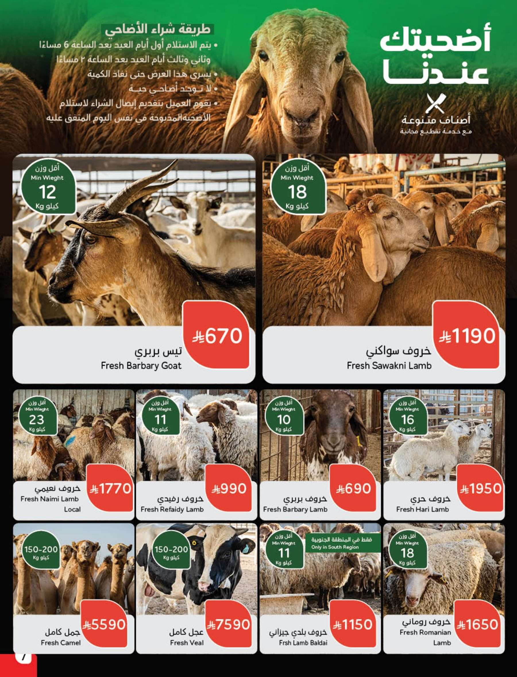 مجلة عروض بنده الاسبوعية الاربعاء 28 مايو 2025 اضحي مبارك 11 8sn7FN - مجلة عروض بنده الاسبوعية الاربعاء 28 مايو 2025 اضحي مبارك