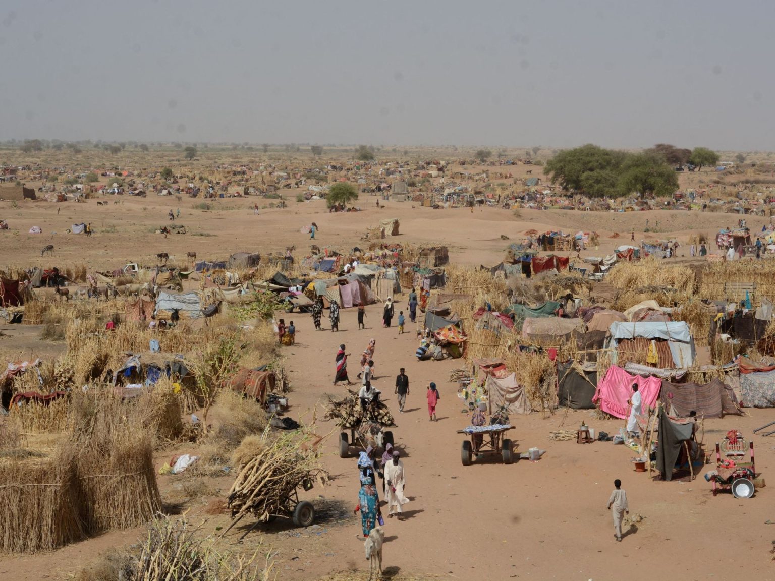 المنظمة الدولية للهجرة: رقم قياسي لأعداد النازحين حول العالم في 2024