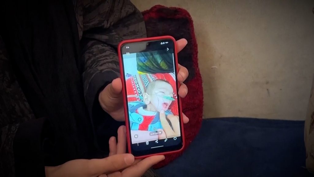 تدمير الأراضي الزراعية وتأثيره على الأمن الغذائي في غزة