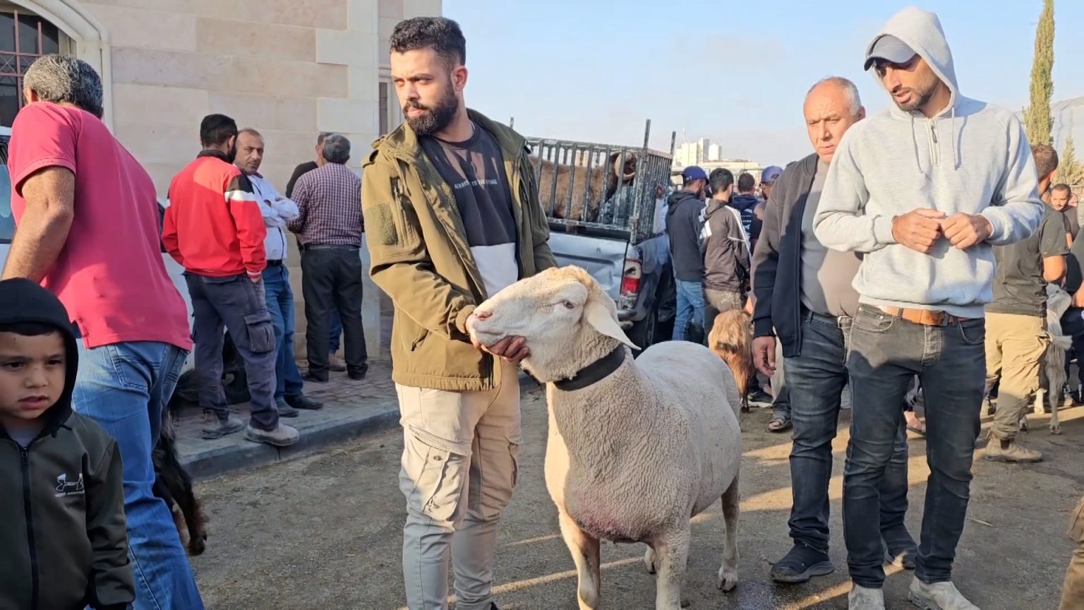 بالفيديو.. جولة في سوق الأضاحي بالضفة الغربية