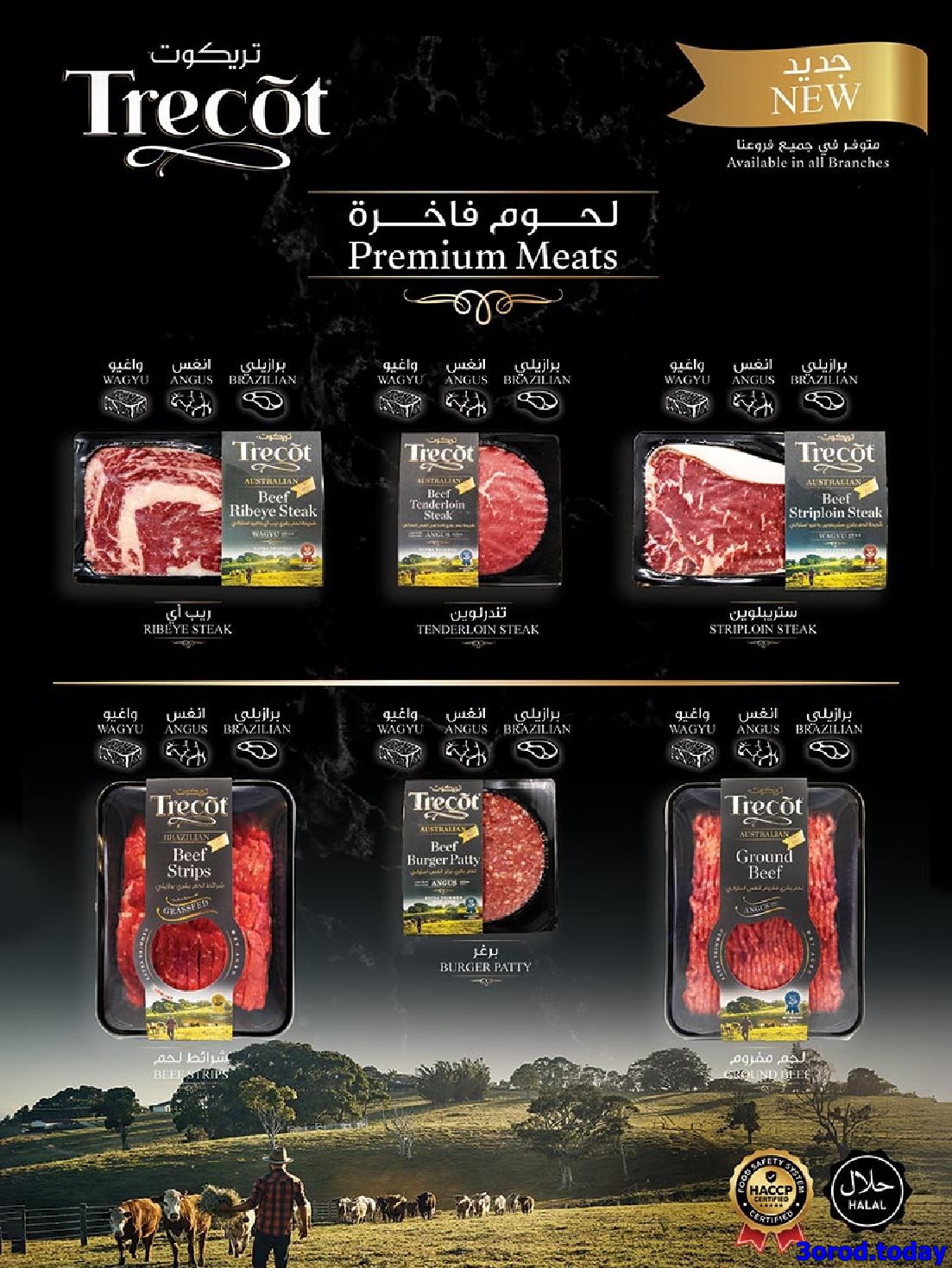 img9b79be70a1f58b678a7a74eb999dd98c - عروض بن داود المدينة المنورة الاربعاء 1 اكتوبر 2025 - اقوي العروض