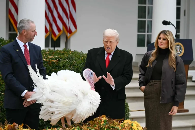 ترمب يستغل تقليد العفو عن الديوك الرومية لمهاجمة خصومه السياسيين