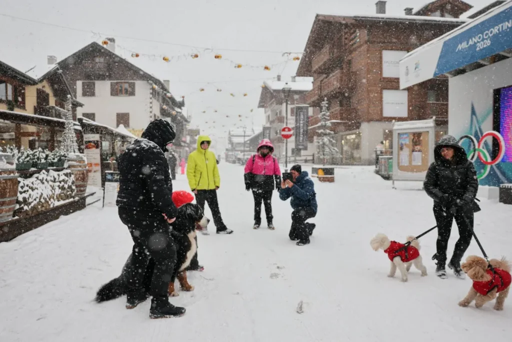 دراسة: بعض الكلاب تستطيع تعلّم الكلمات عبر الاستماع إلى المحادثات