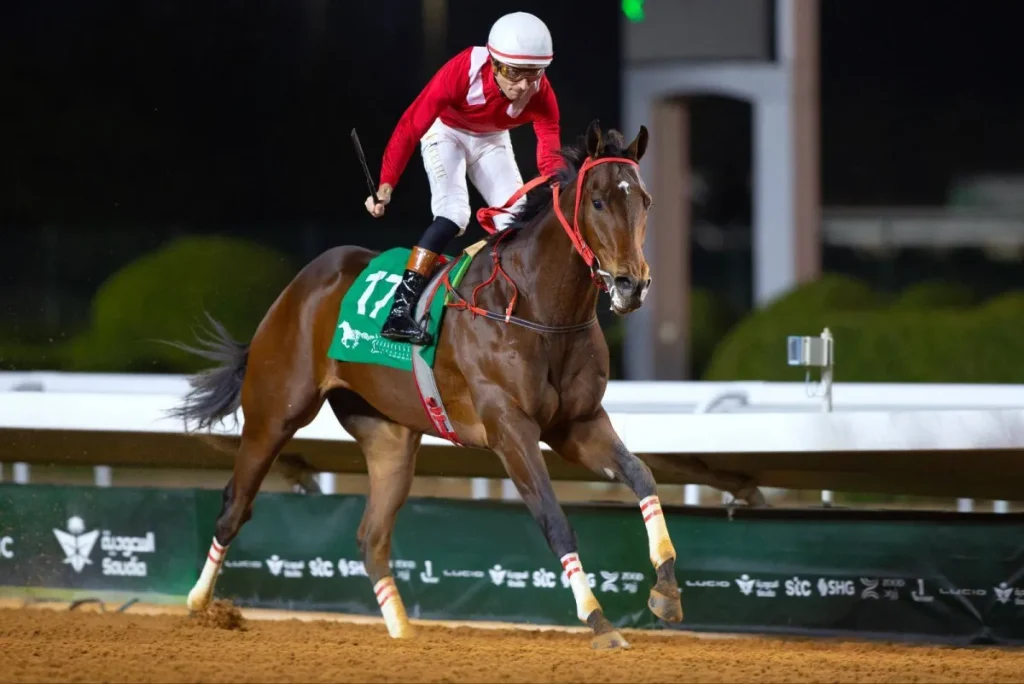 السبت… انطلاق أكبر سباقات كؤوس «المؤسس» وخادم الحرمين