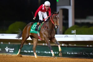 السبت… انطلاق أكبر سباقات كؤوس «المؤسس» وخادم الحرمين