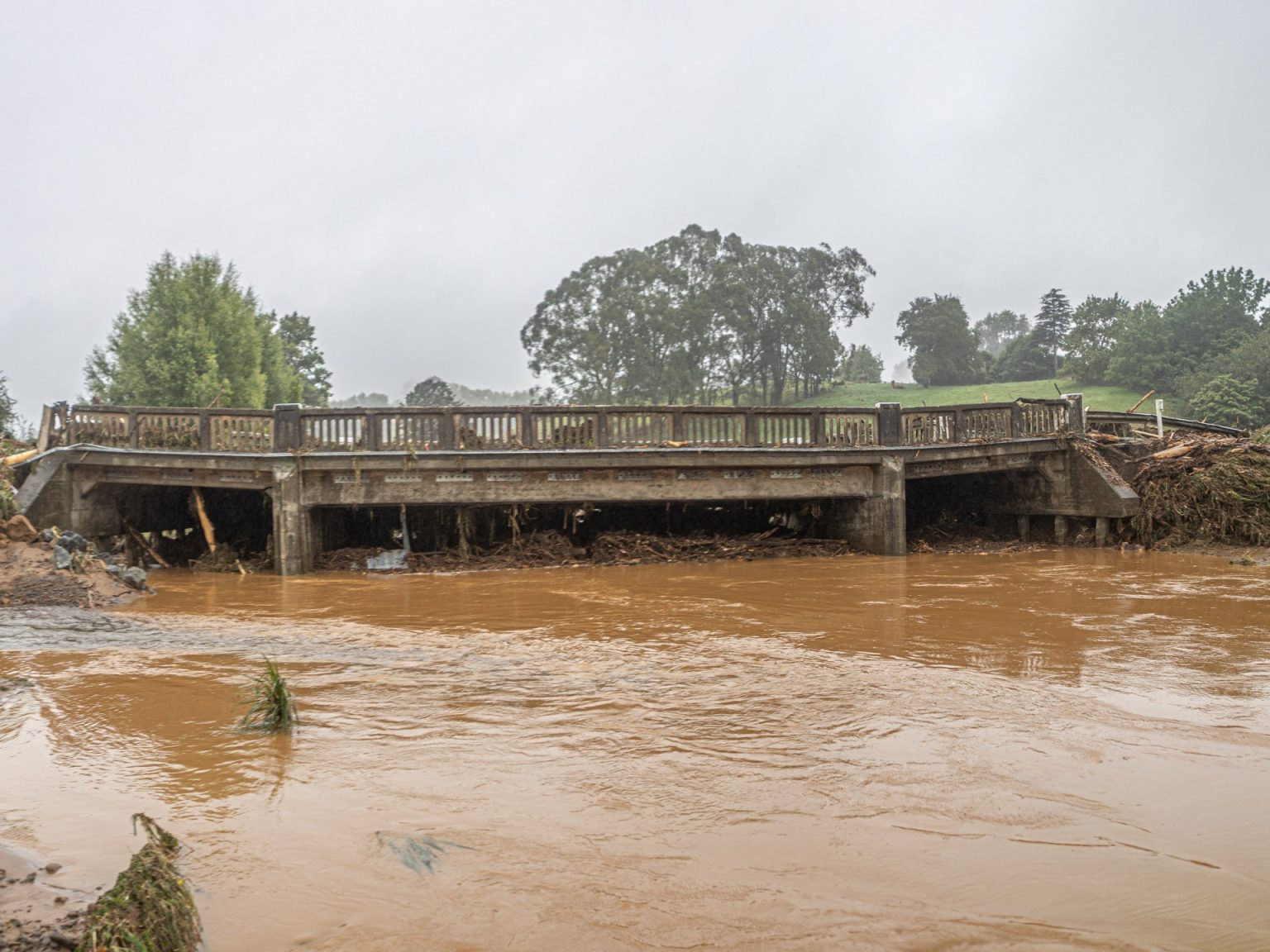 عاصفة عاتية تربك الحياة في نيوزيلندا