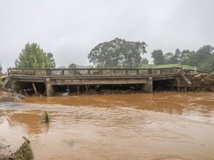 عاصفة عاتية تربك الحياة في نيوزيلندا