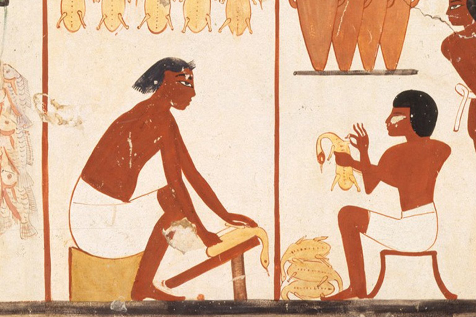 البط سيد الولائم المصرية.. رحلة عبر التاريخ من جداريات المعابد إلى موائد رمضان